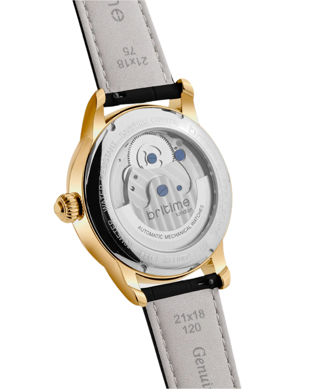 Britime Eclipse Printed Gold Dial Leather Textured Straps Analogue Automatic Watch 675-L20406