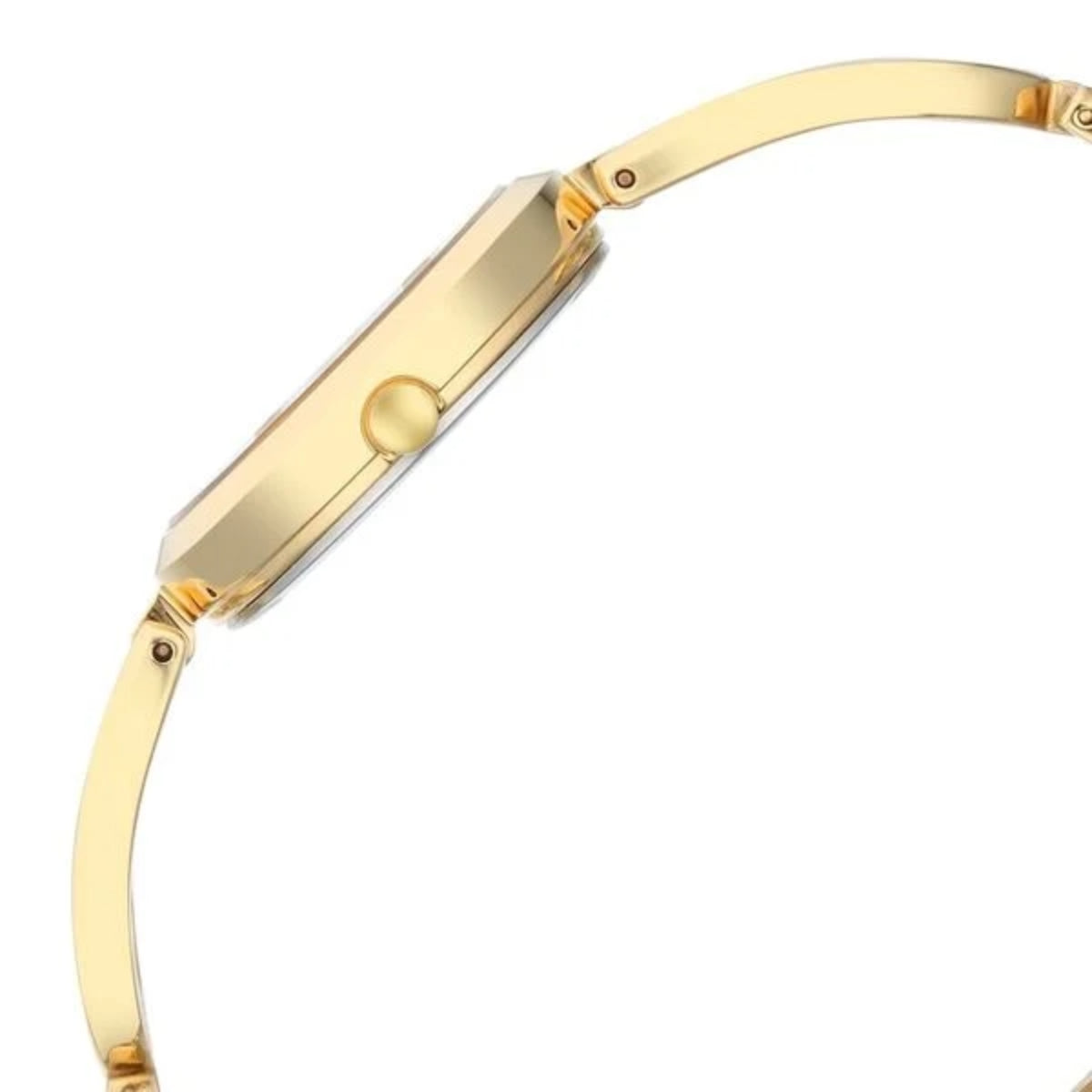 Titan Raga Champagne Dial Women Watch 2727YM01