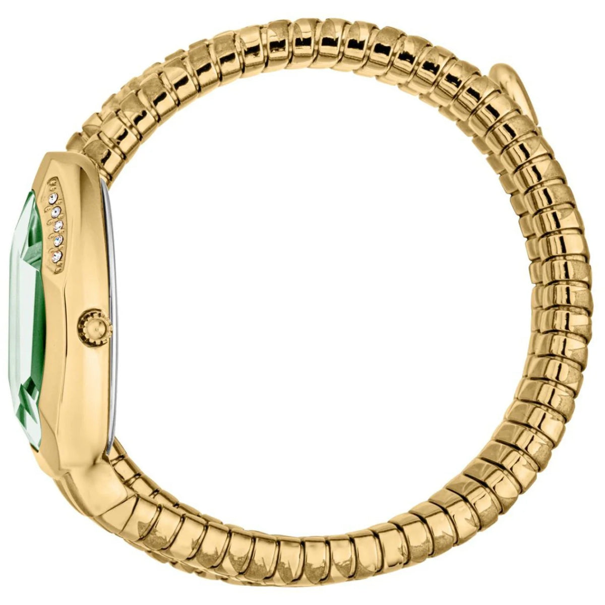 JUST CAVALLI Serpente Taglio Watch for Women - JC1L226M0035