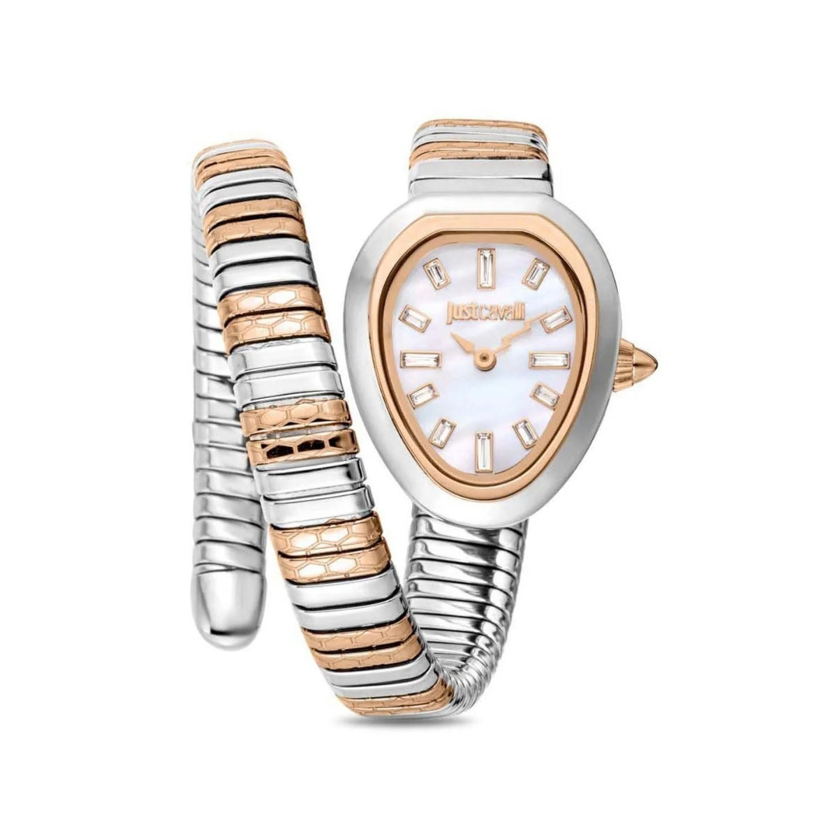 JUST CAVALLI Aversa Watch for Women - JC1L222M0065