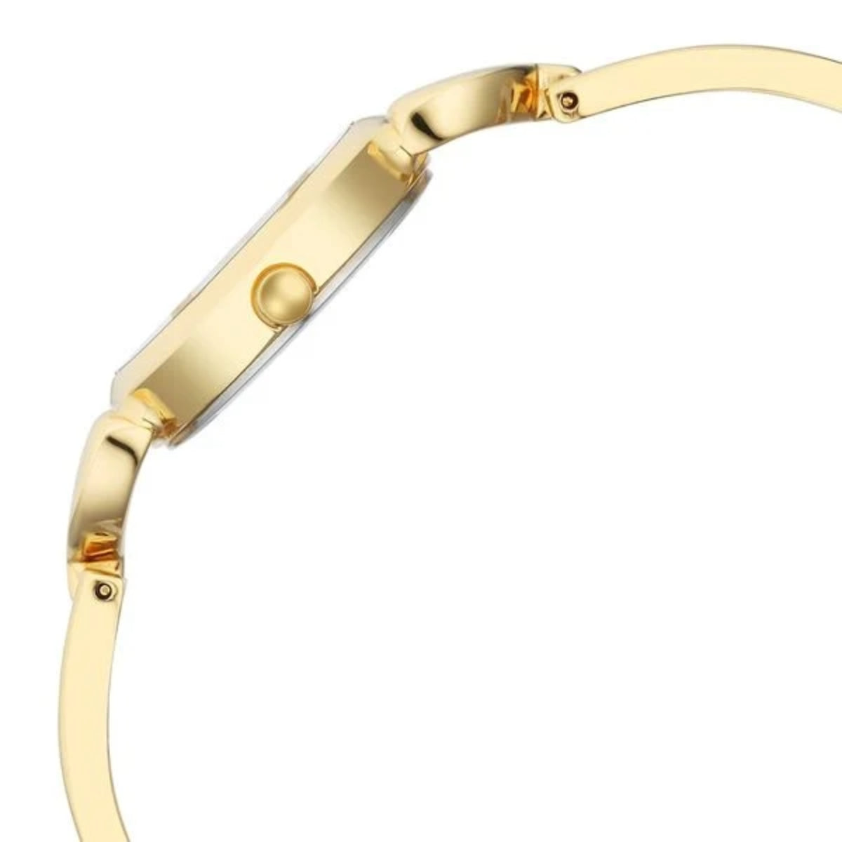 Titan Raga Champagne Dial Watch for Women 2724YM01