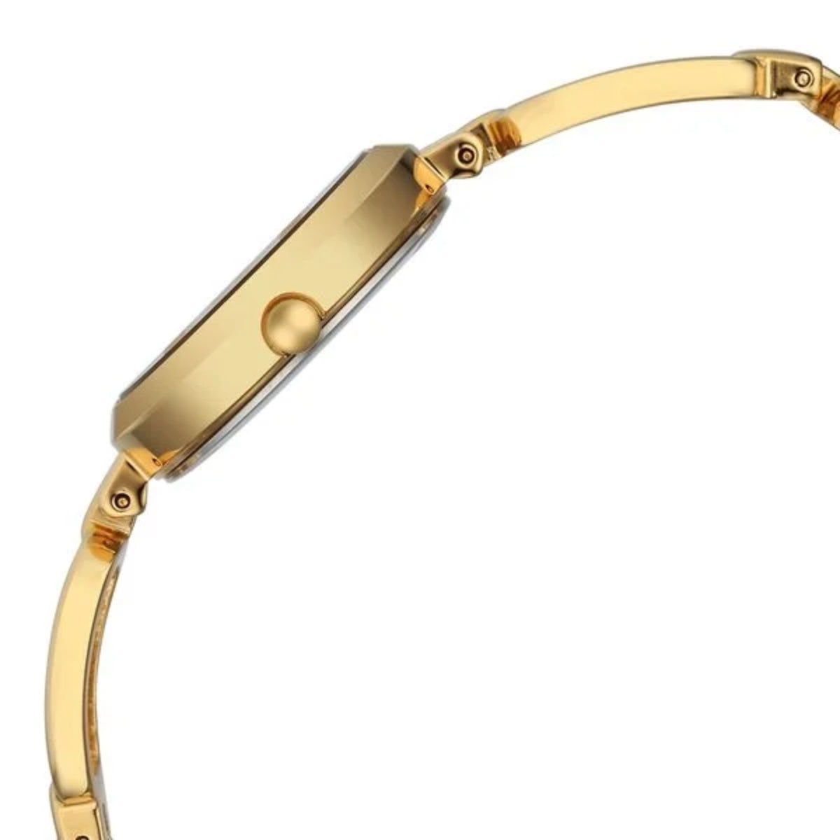 Titan Raga Champagne Dial Watch for Women 2725YM01