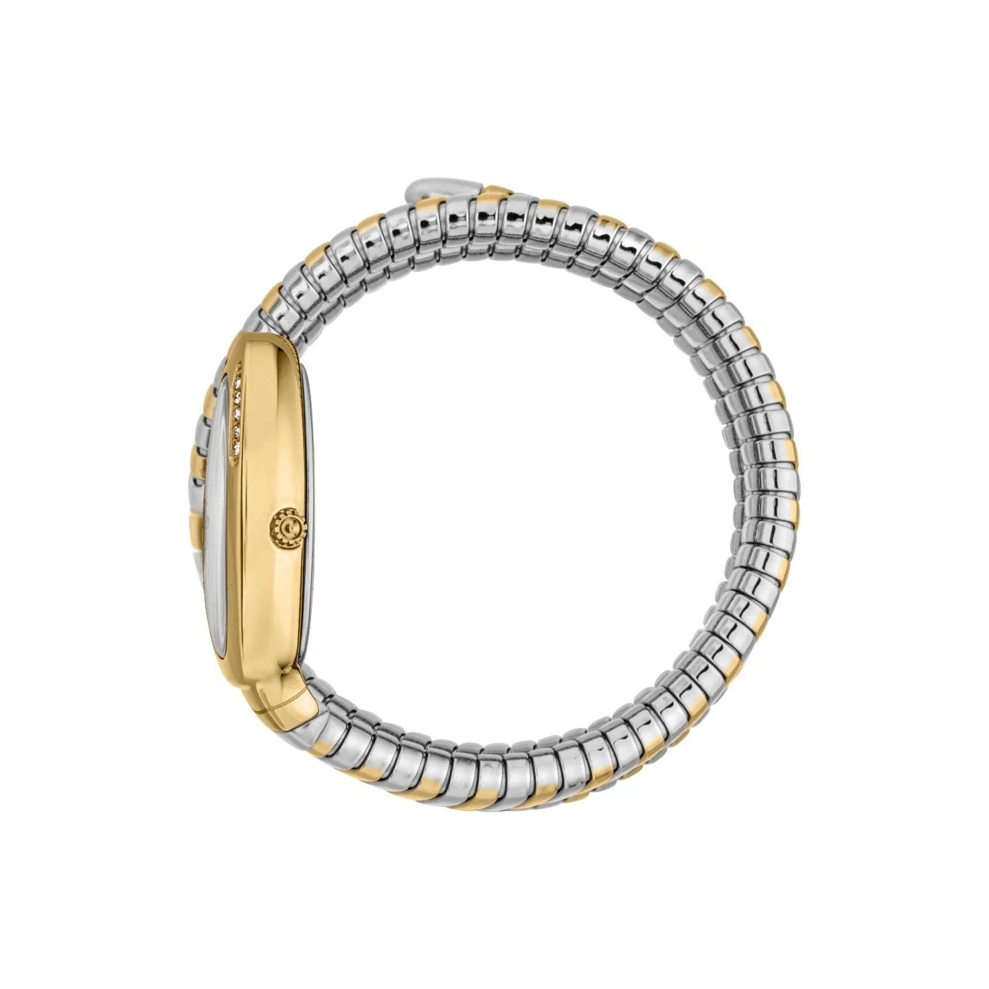 JC1L230M0065 Just Cavalli Vezzoso Watch for Women