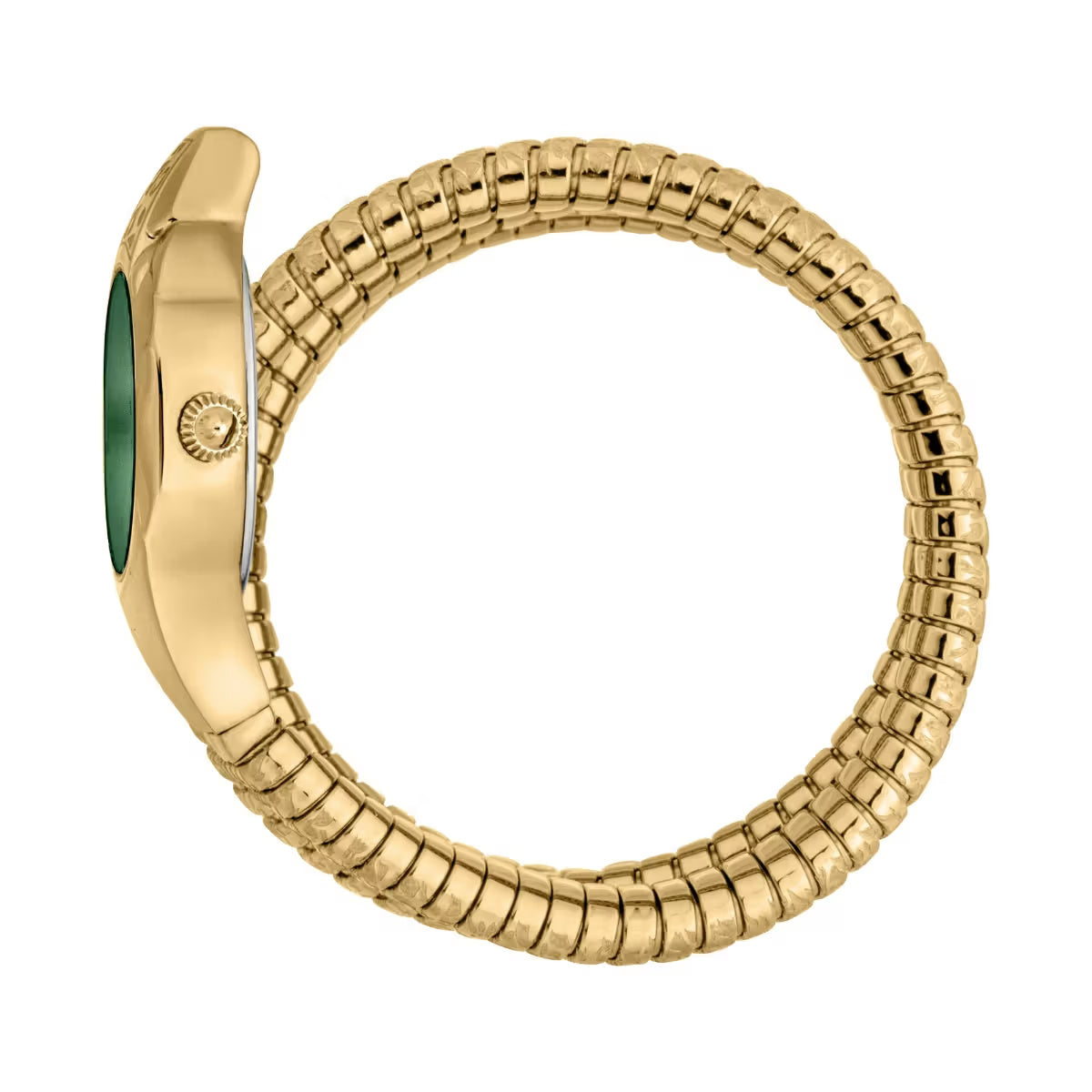 JUST CAVALLI Ravenna Watch for Women - JC1L271M0035