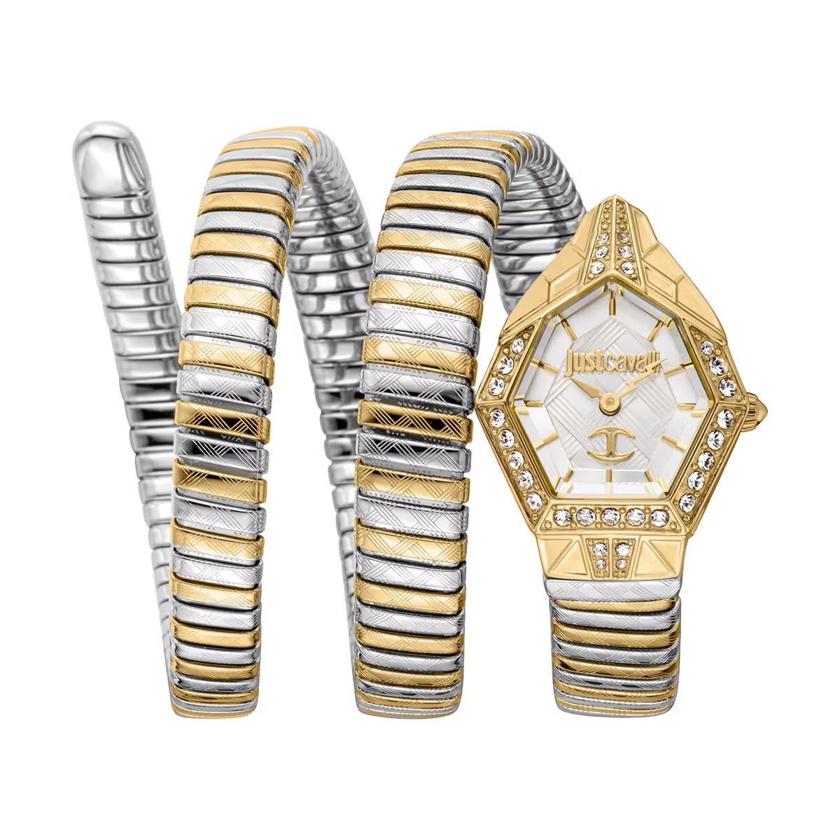 Just Cavalli Mesmerizing Analog Women Watch JC1L304M0055