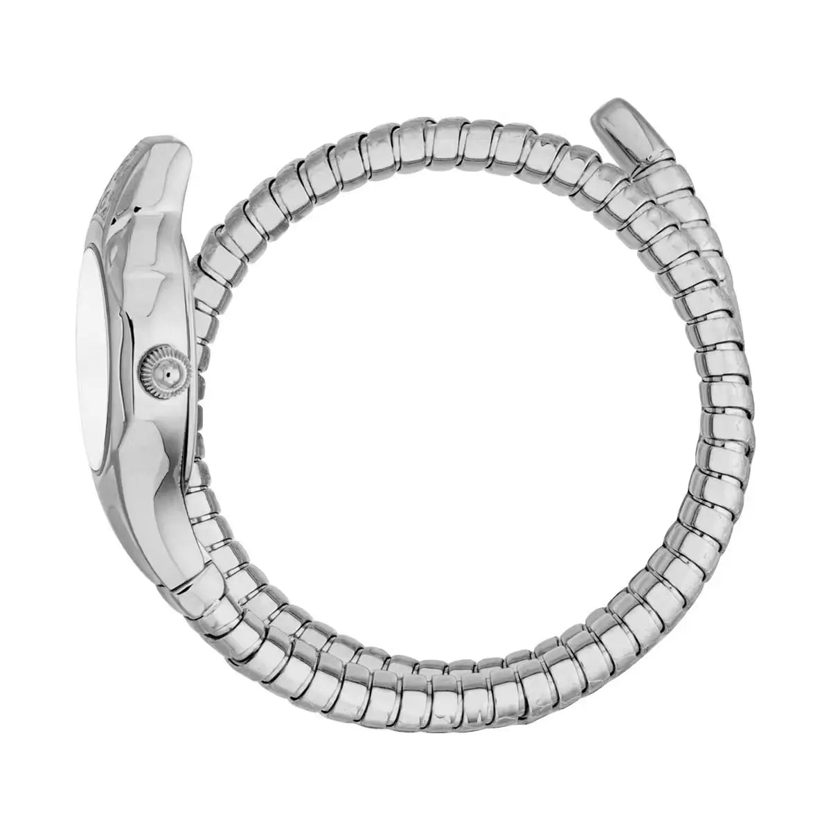 JC1L354M0015 Just Cavalli Fiore Silver Dial Analogue Watch For Women
