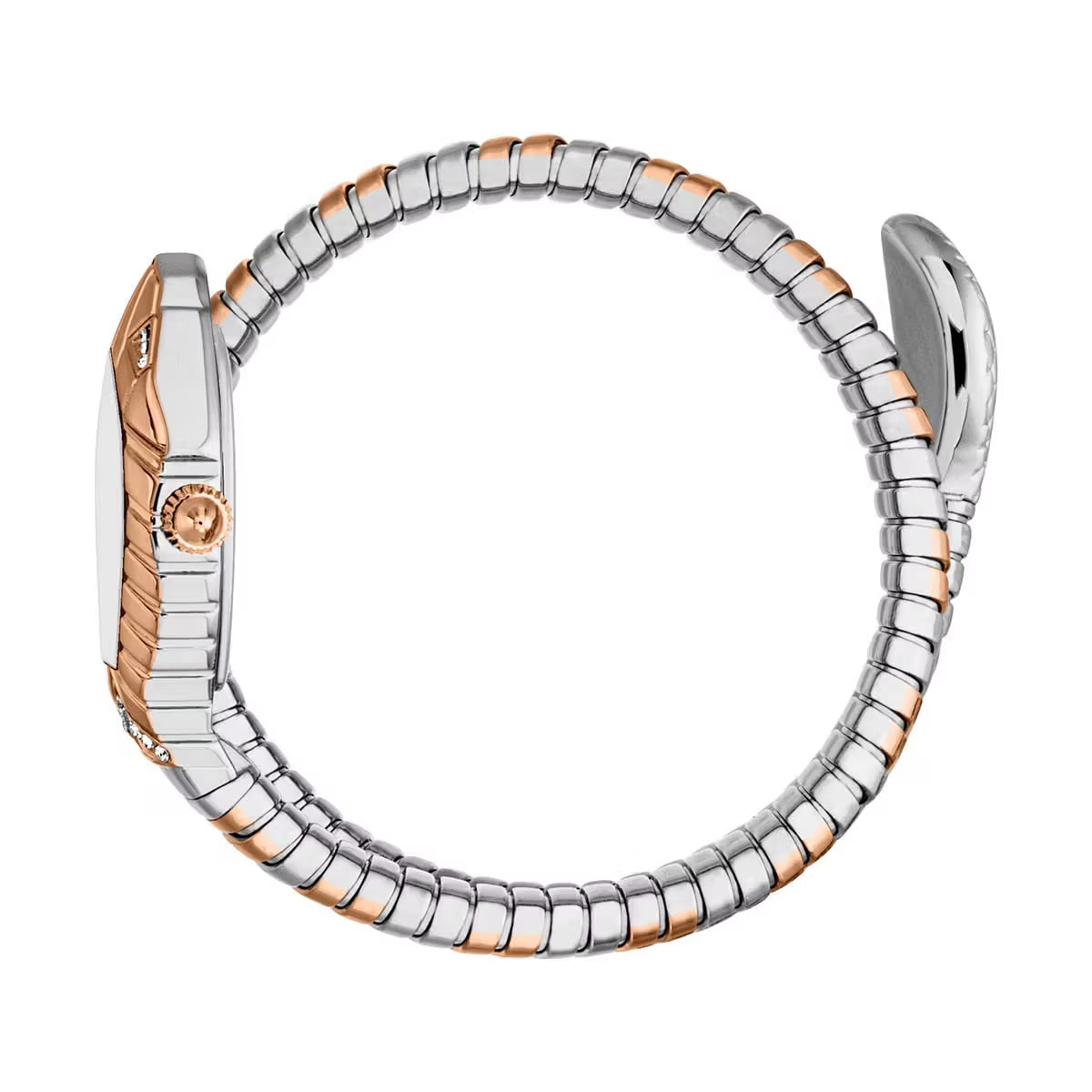 Just Cavalli Speranza Silver Dial Stainless Steel Analogue Women Watch JC1L356M0065
