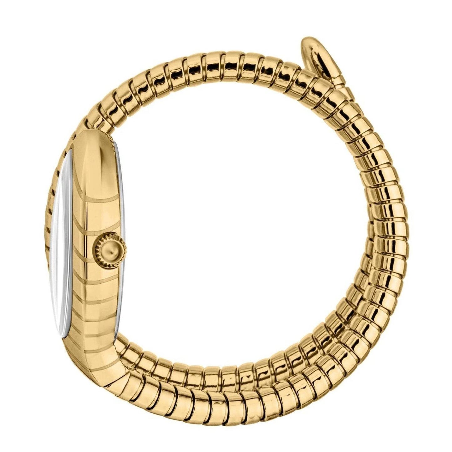 Just Cavalli Classico Corto Watch for Women JC1L247M0025