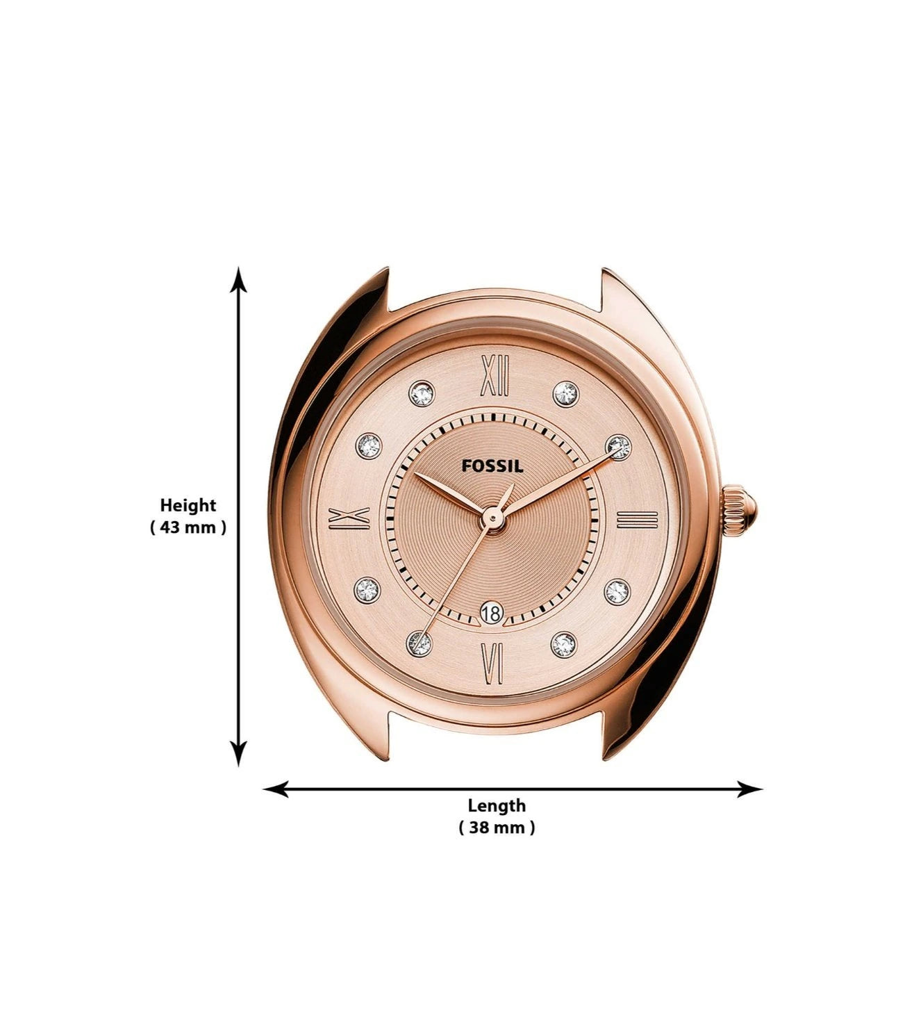 ES5070 | FOSSIL Gabby Analog Watch for Women