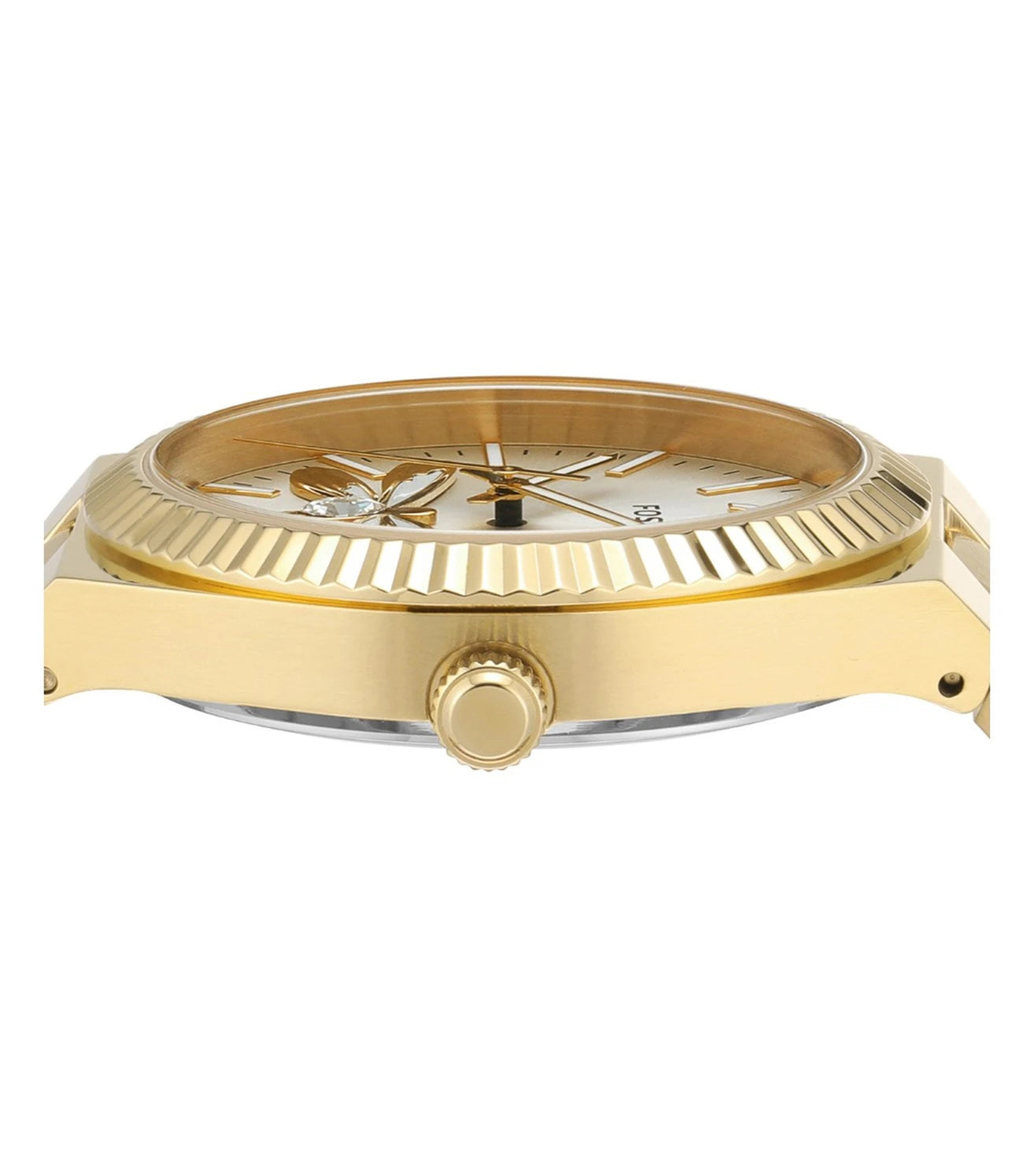 ES5262 | FOSSIL Scarlette Analog Watch for Women