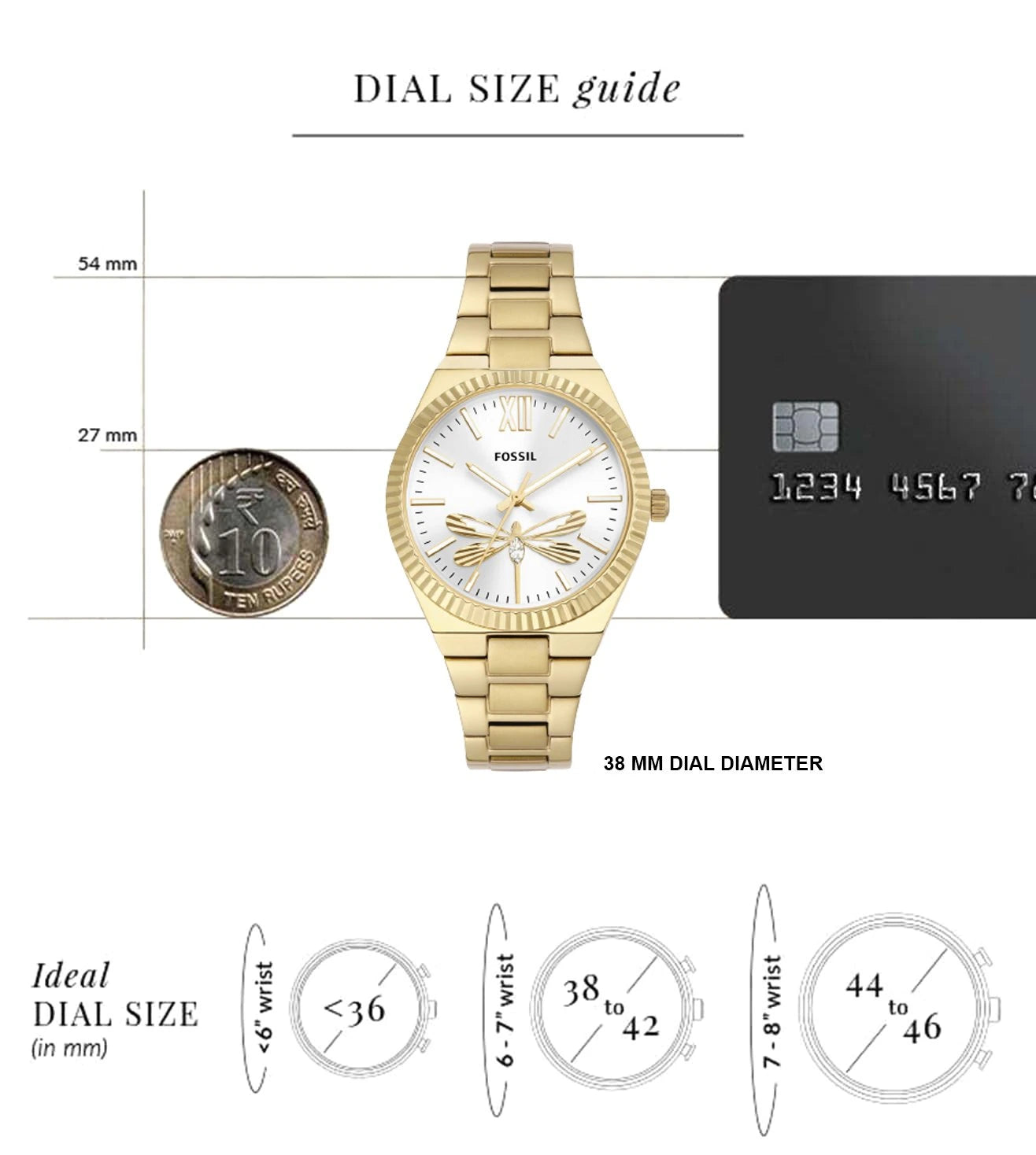 ES5262 | FOSSIL Scarlette Analog Watch for Women