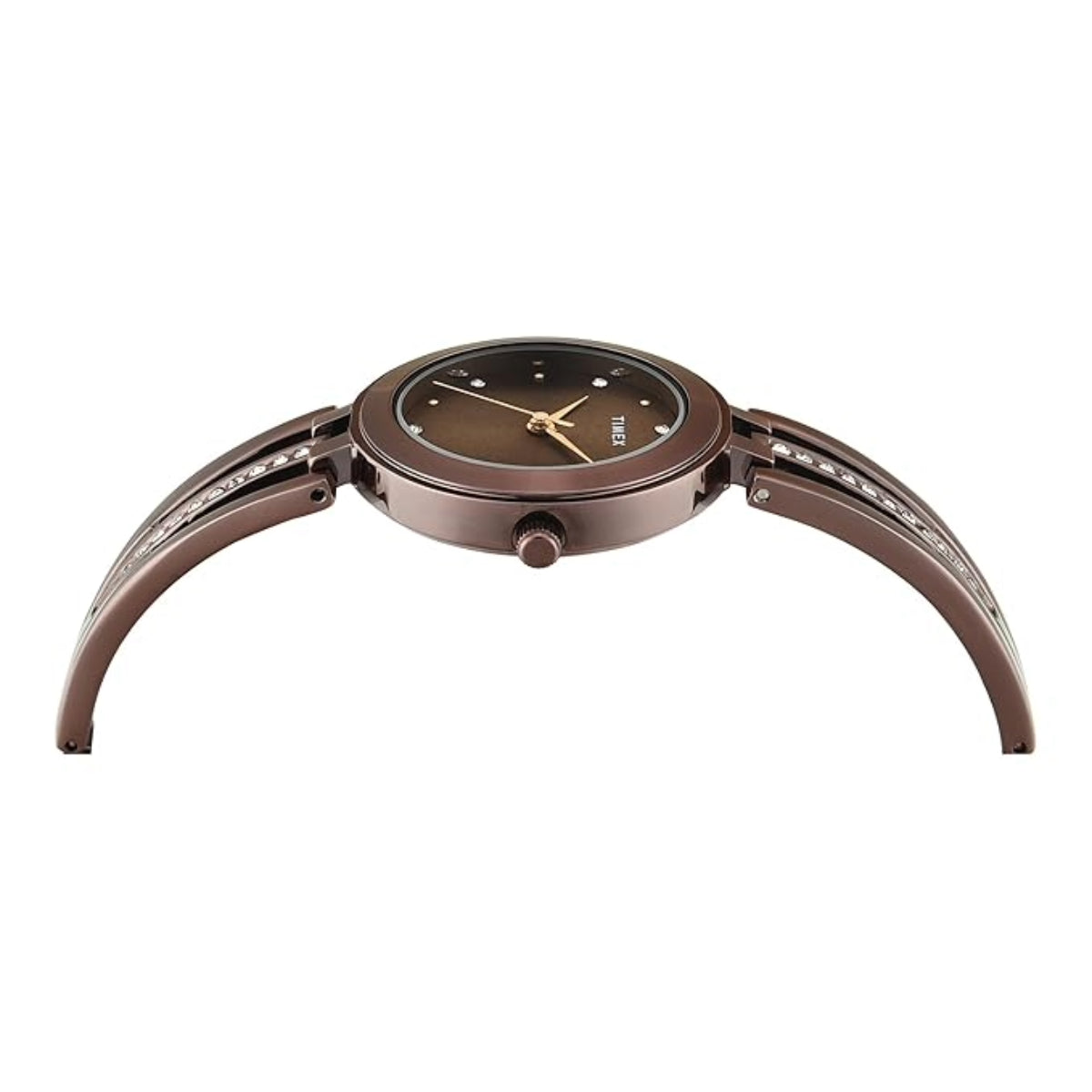 Timex Quartz Brown Round Dial Analog Women's Watch - TWTL10324
