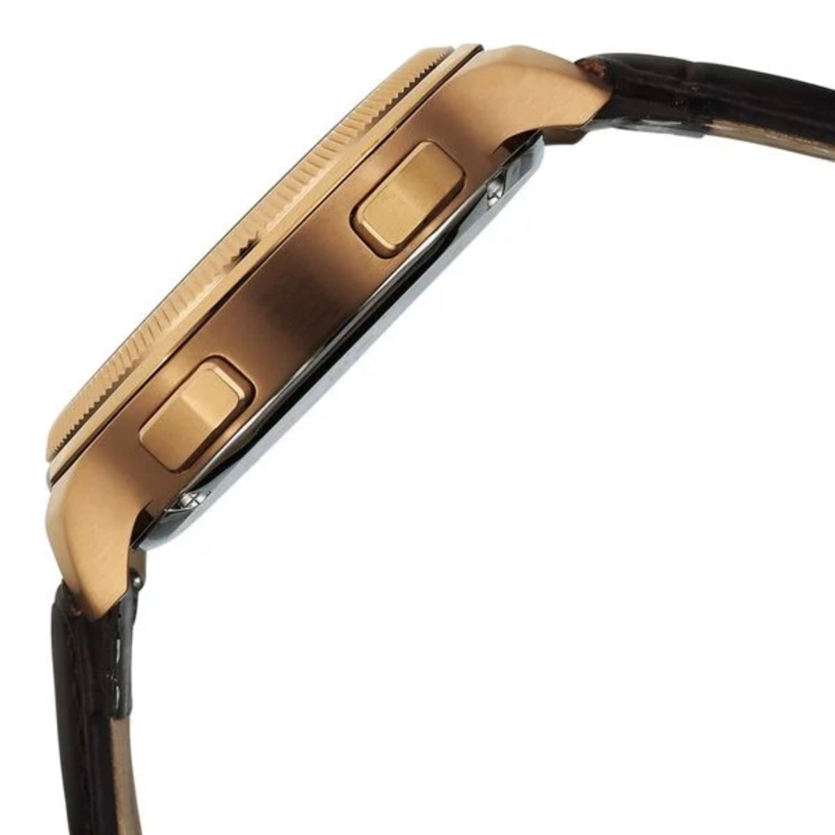 Titan Stellar Zodiac Analog with Dual Moonphase and Jumping Hour Men Watch 10053QL01