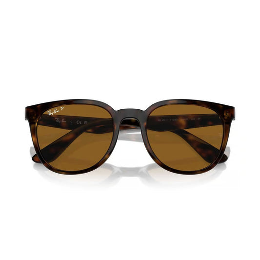 Ray-Ban 0RB4381I 710/1353 Unisex Round Sunglasses – Brown Gradient Lenses, Polished Gold Frame