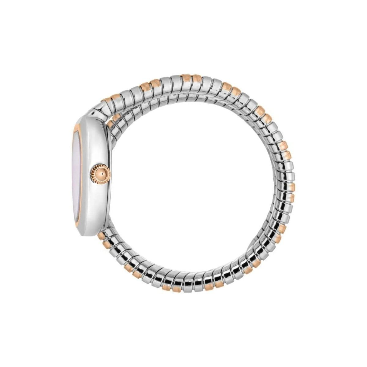 JUST CAVALLI Aversa Watch for Women - JC1L222M0065