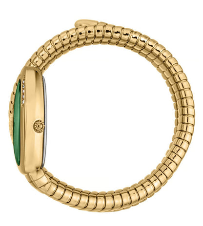 JC1L230M0045 | Just Cavalli Vezzoso Green Watch for Women