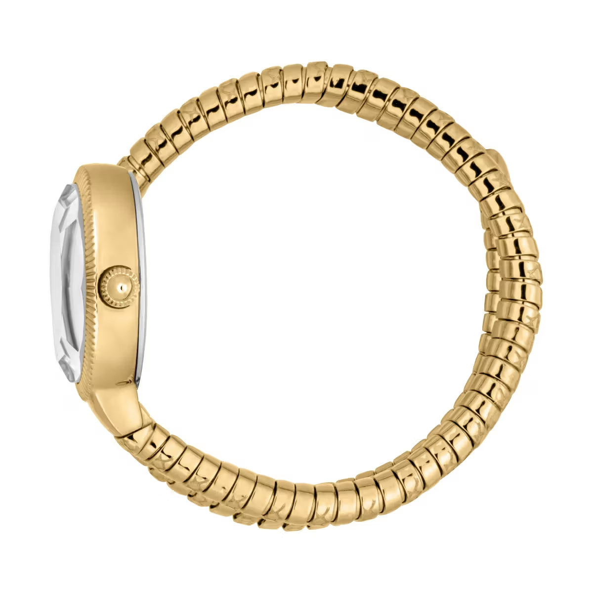 JUST CAVALLI Ardea Watch for Women - JC1L268M0035
