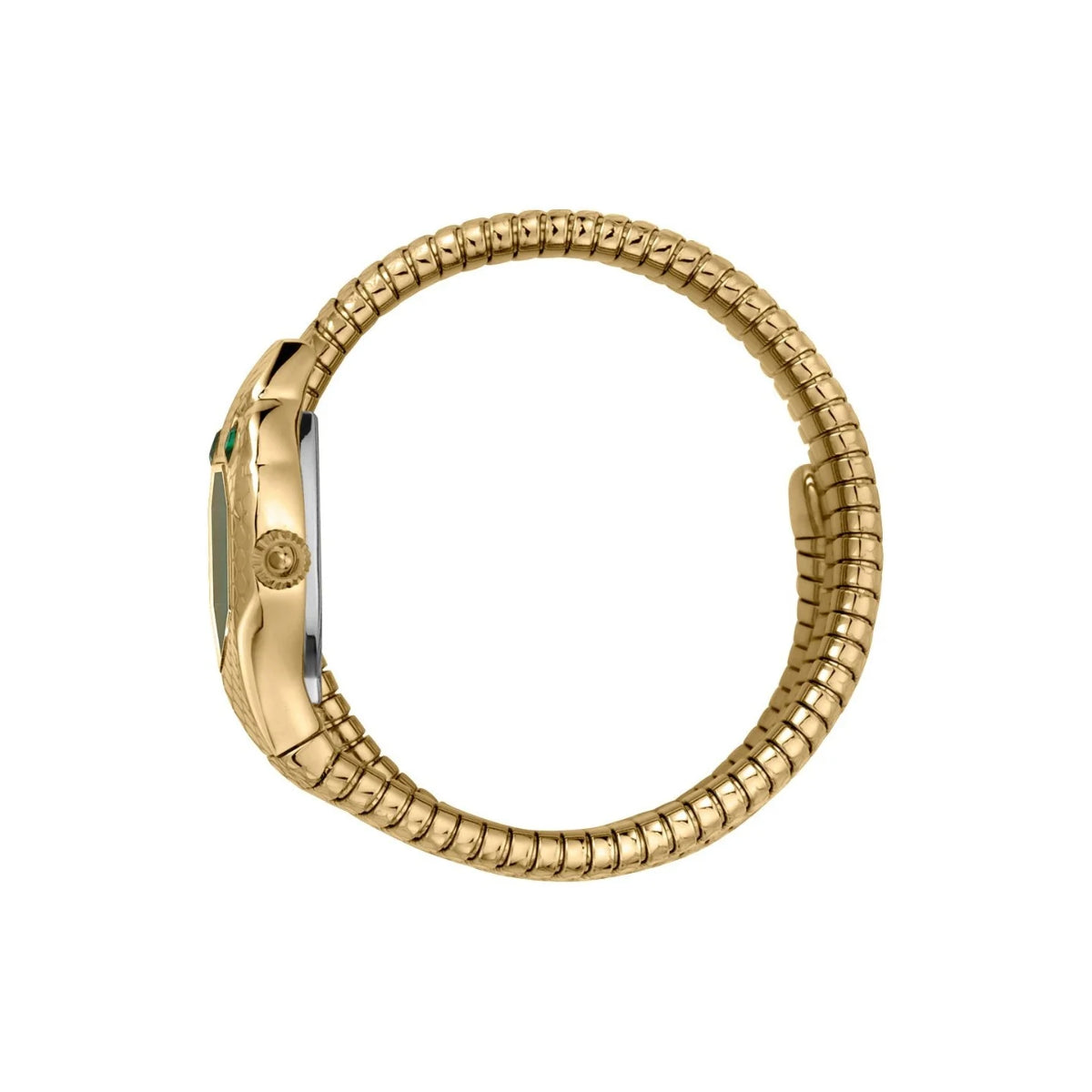 Gold watch strap on a white background