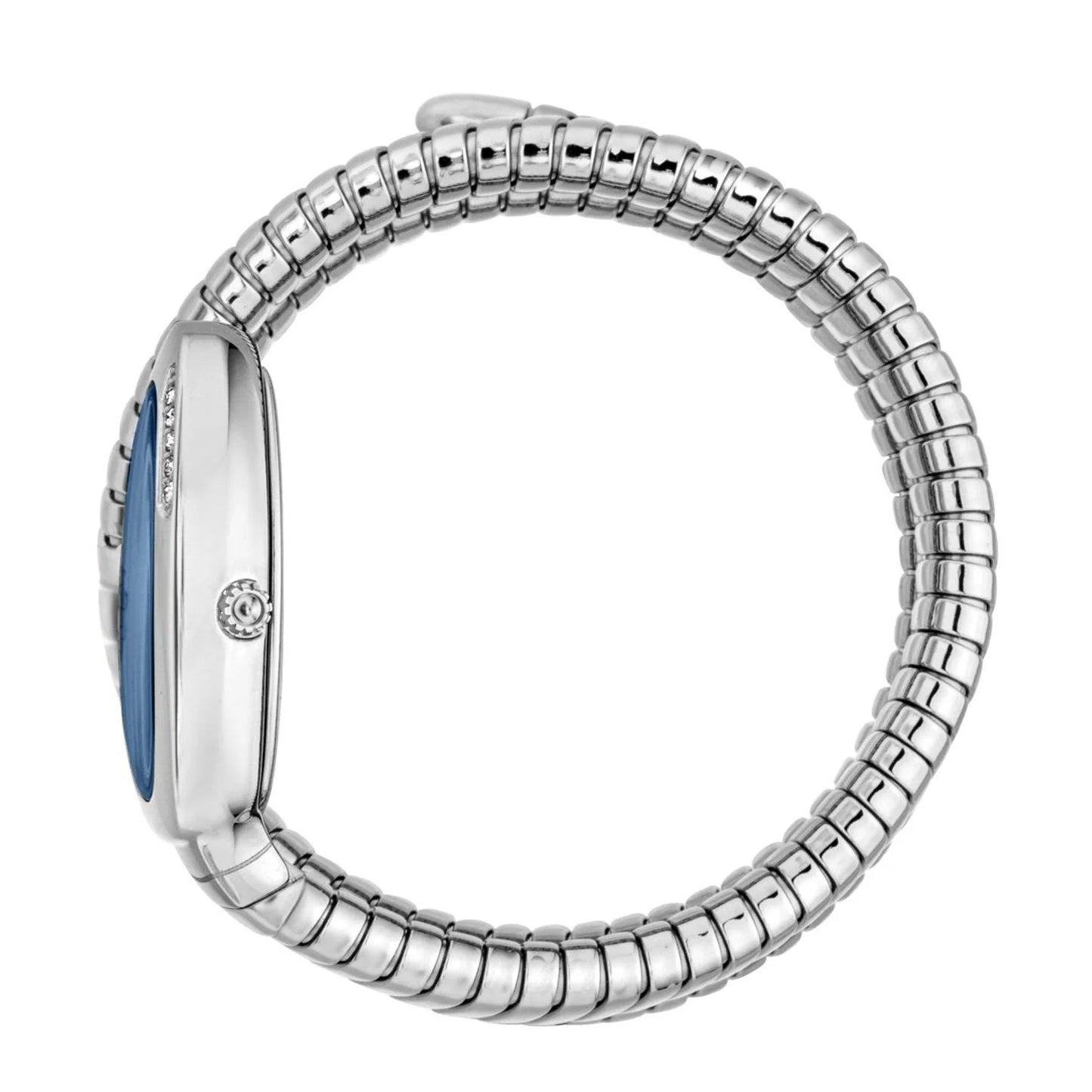 JC1L230M0025 JUST CAVALLI Vezzoso Blue Dial  analog Women Watch