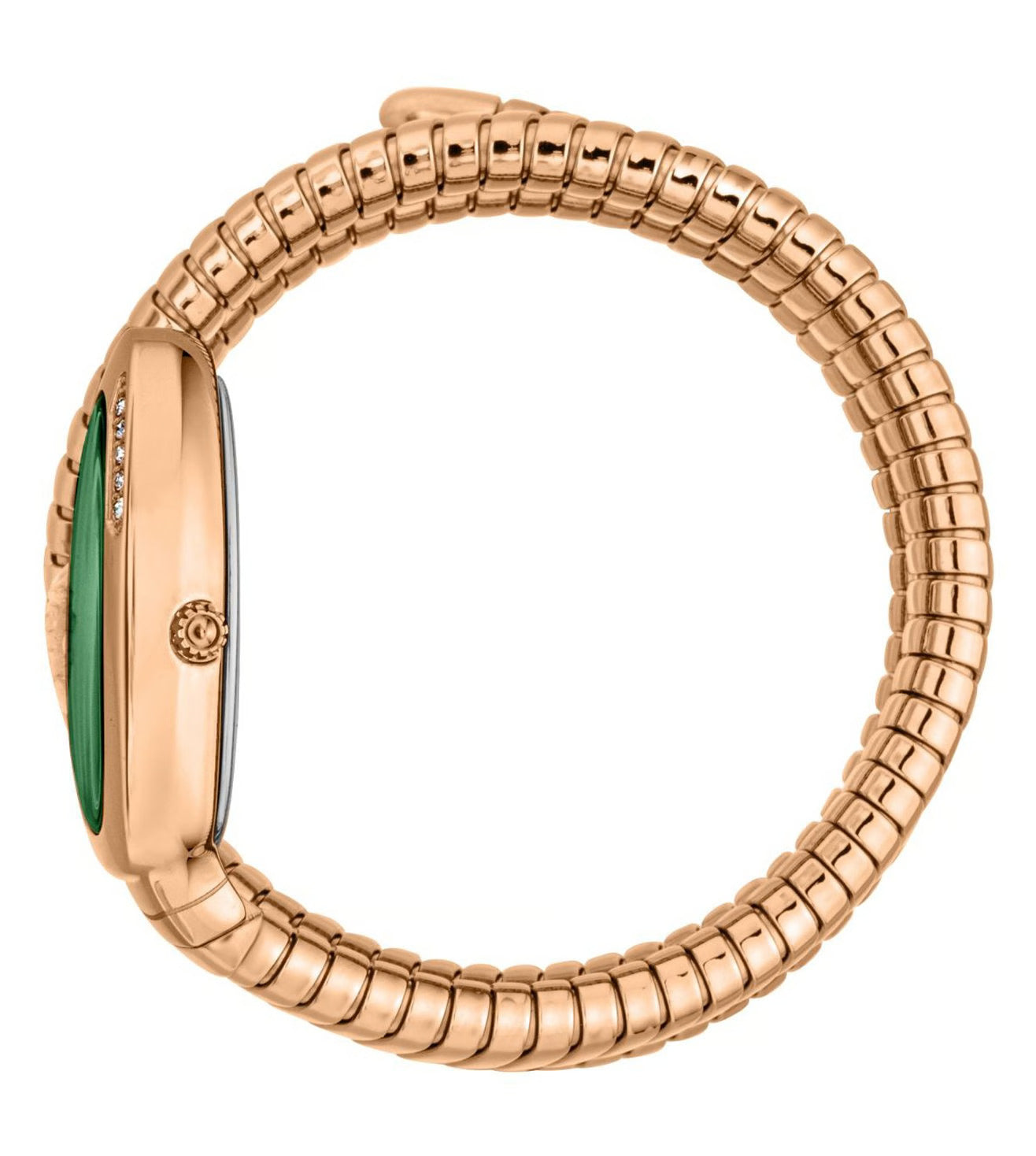 JC1L230M0055 Just Cavalli Vezzoso Green Watch for Women