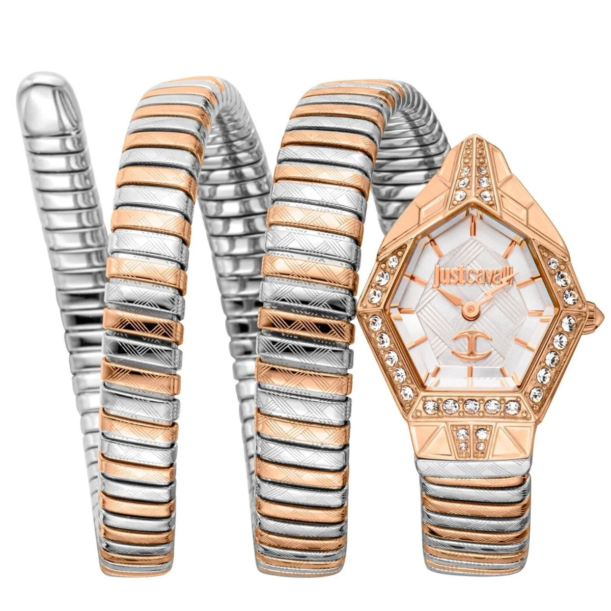 Luxury watch with intricate design and two-tone strap on a white background