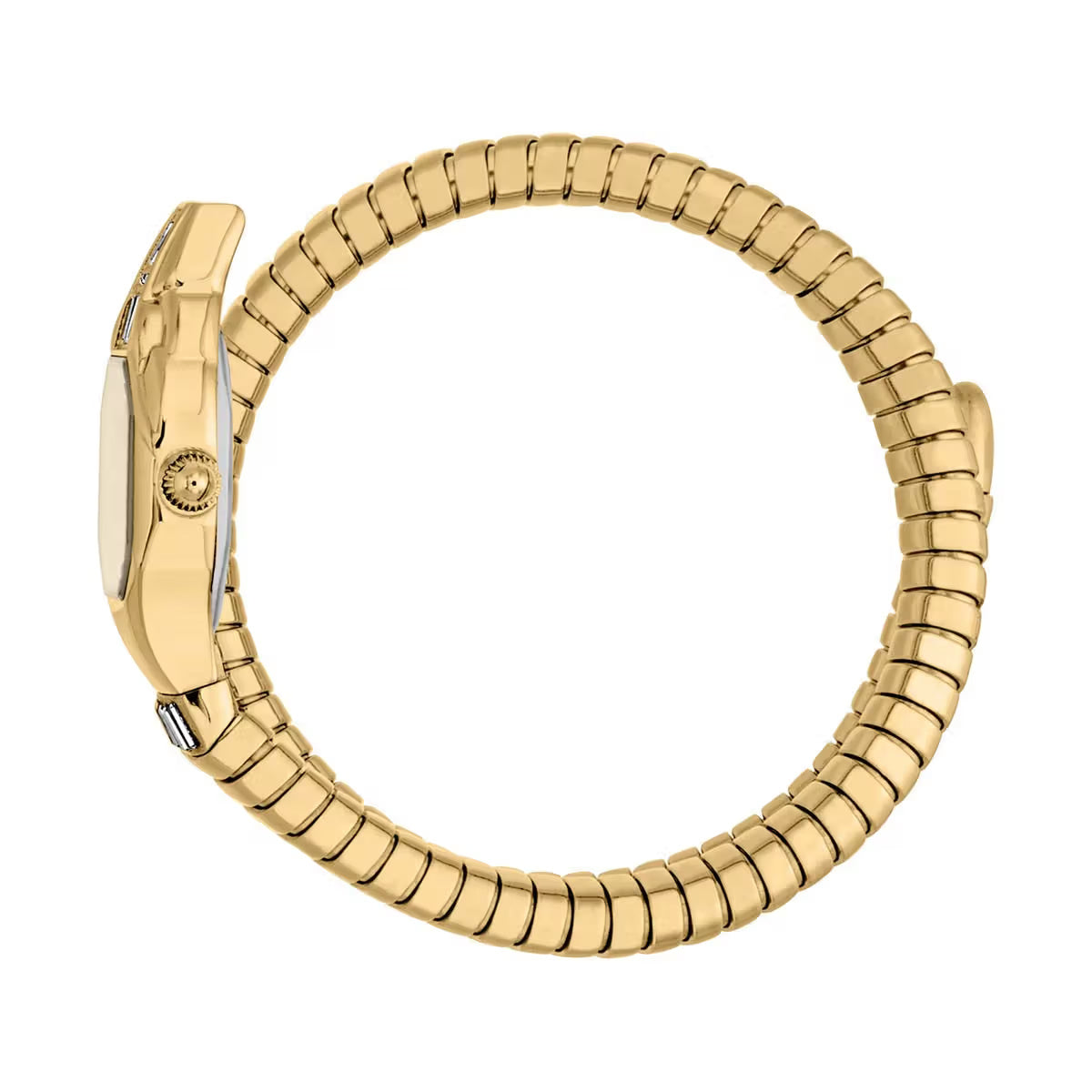 Gold watch strap on a white background