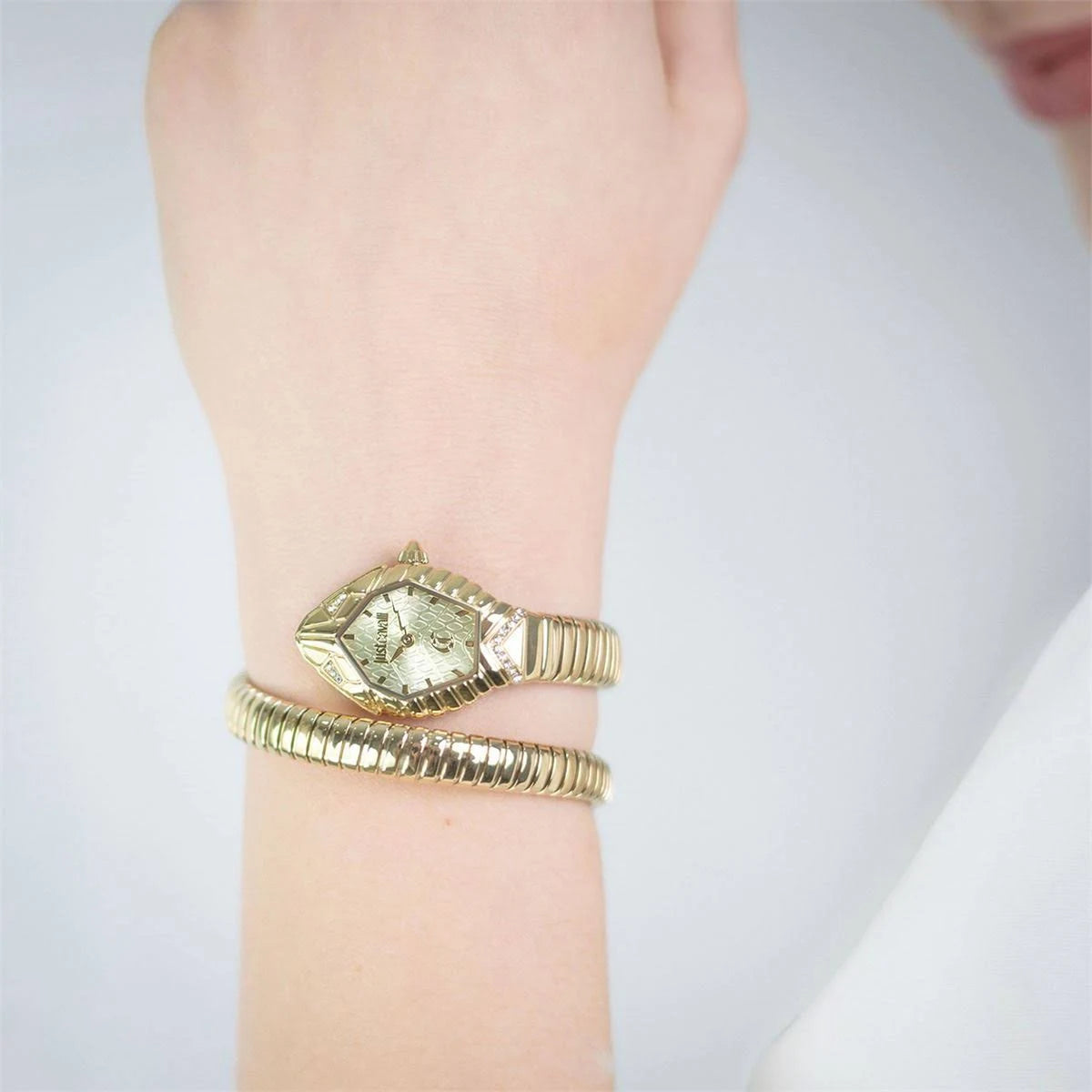 Just Cavalli Speranza Champagne Dial Analogue Watch For Women JC1L356M0025