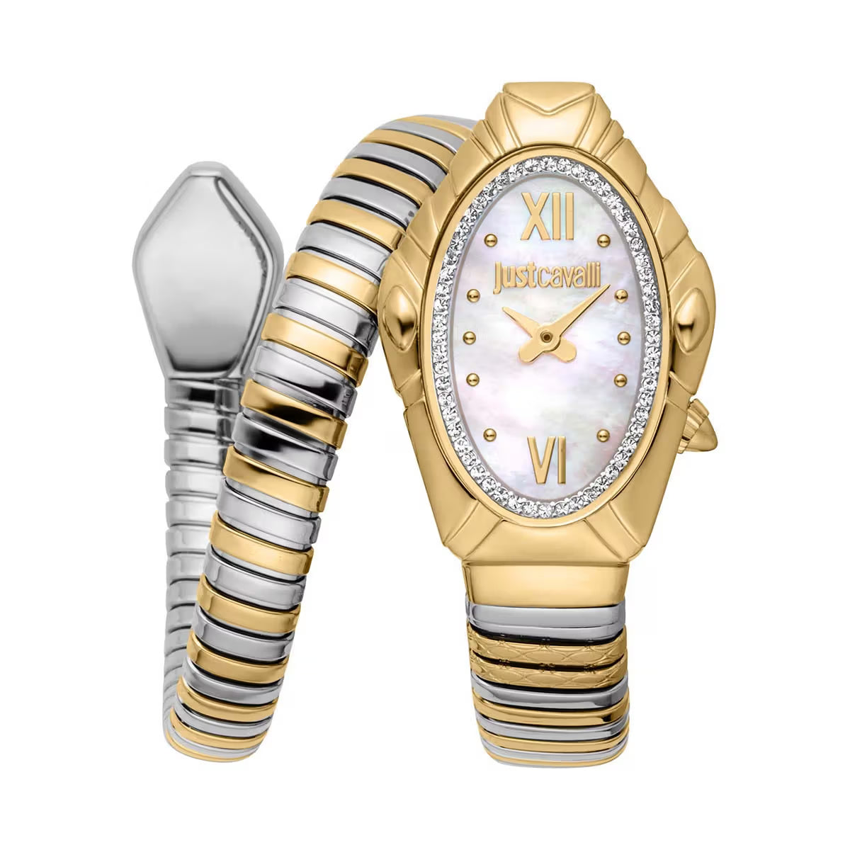Gold and silver watch with Just Cavalli branding on a white background