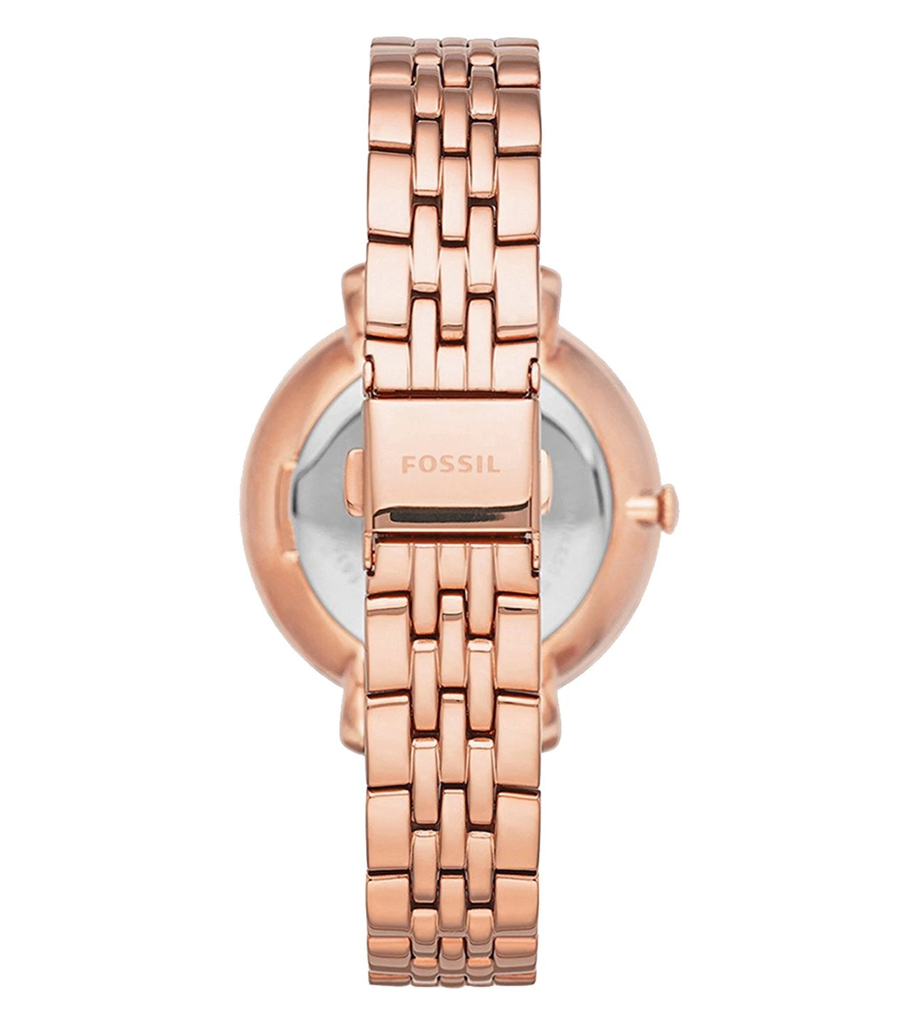 ES3546 | FOSSIL Jacqueline Analog Watch for Women