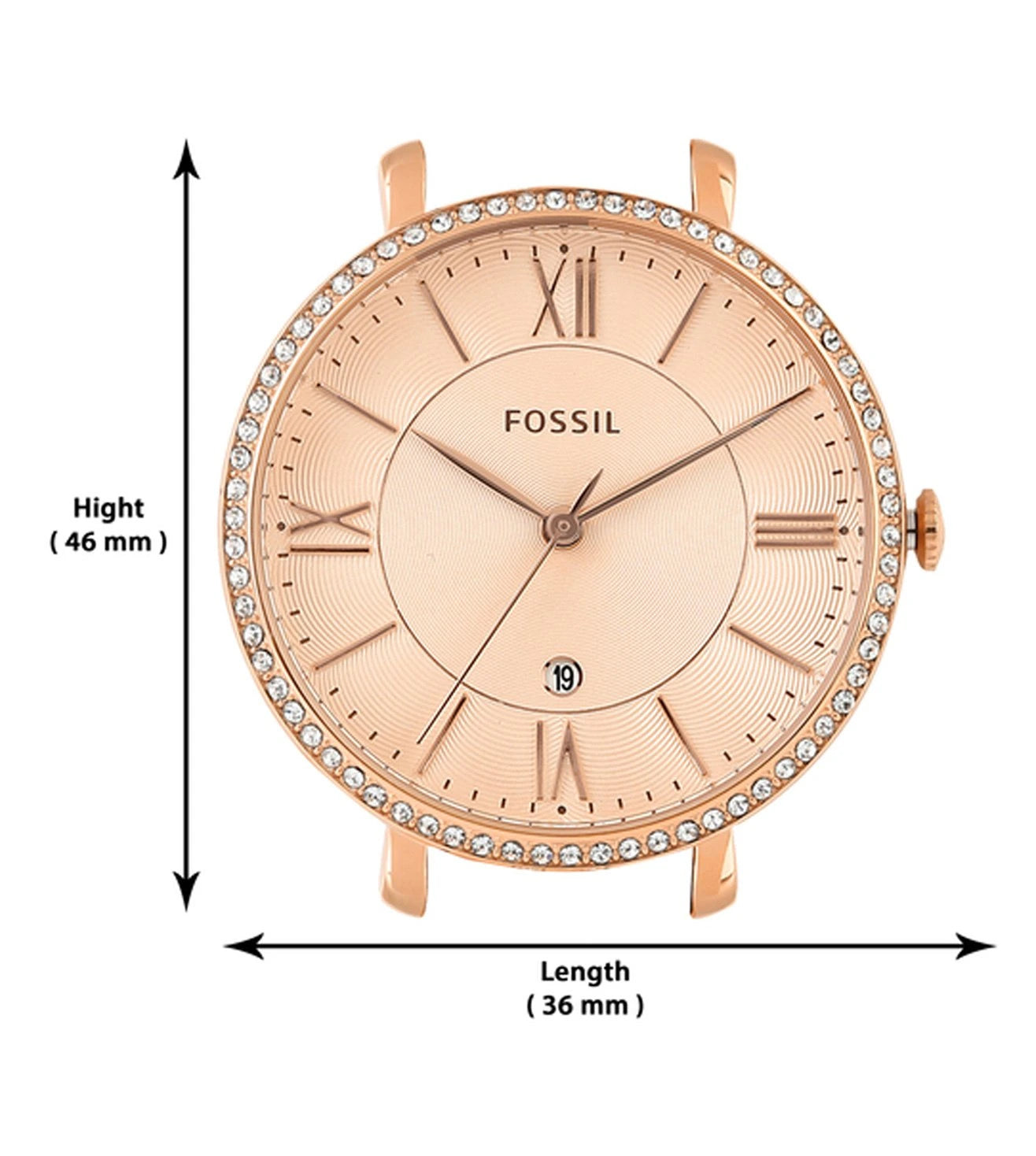 ES3546 | FOSSIL Jacqueline Analog Watch for Women