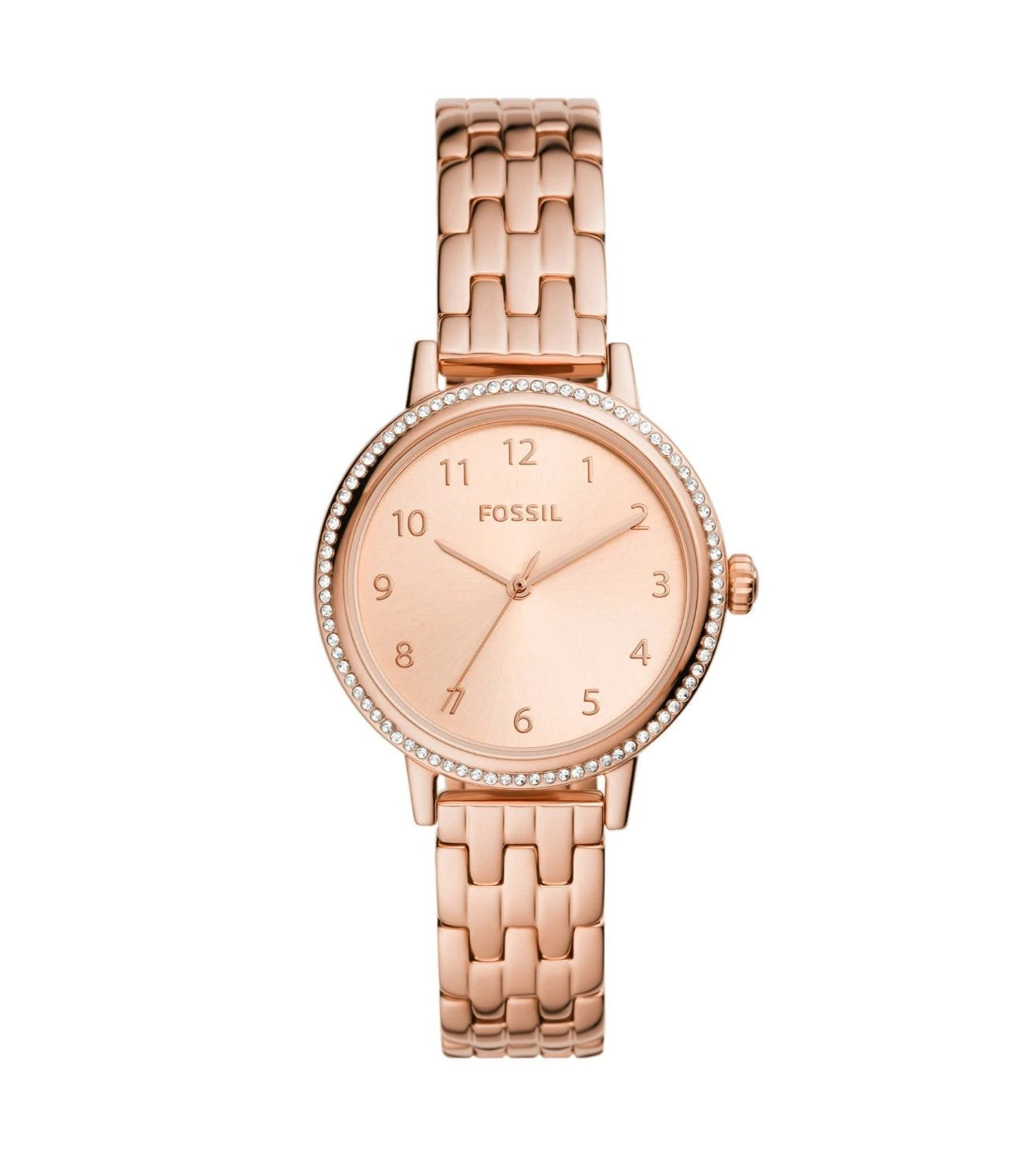 BQ3656 | FOSSIL Reid Analog Watch for Women