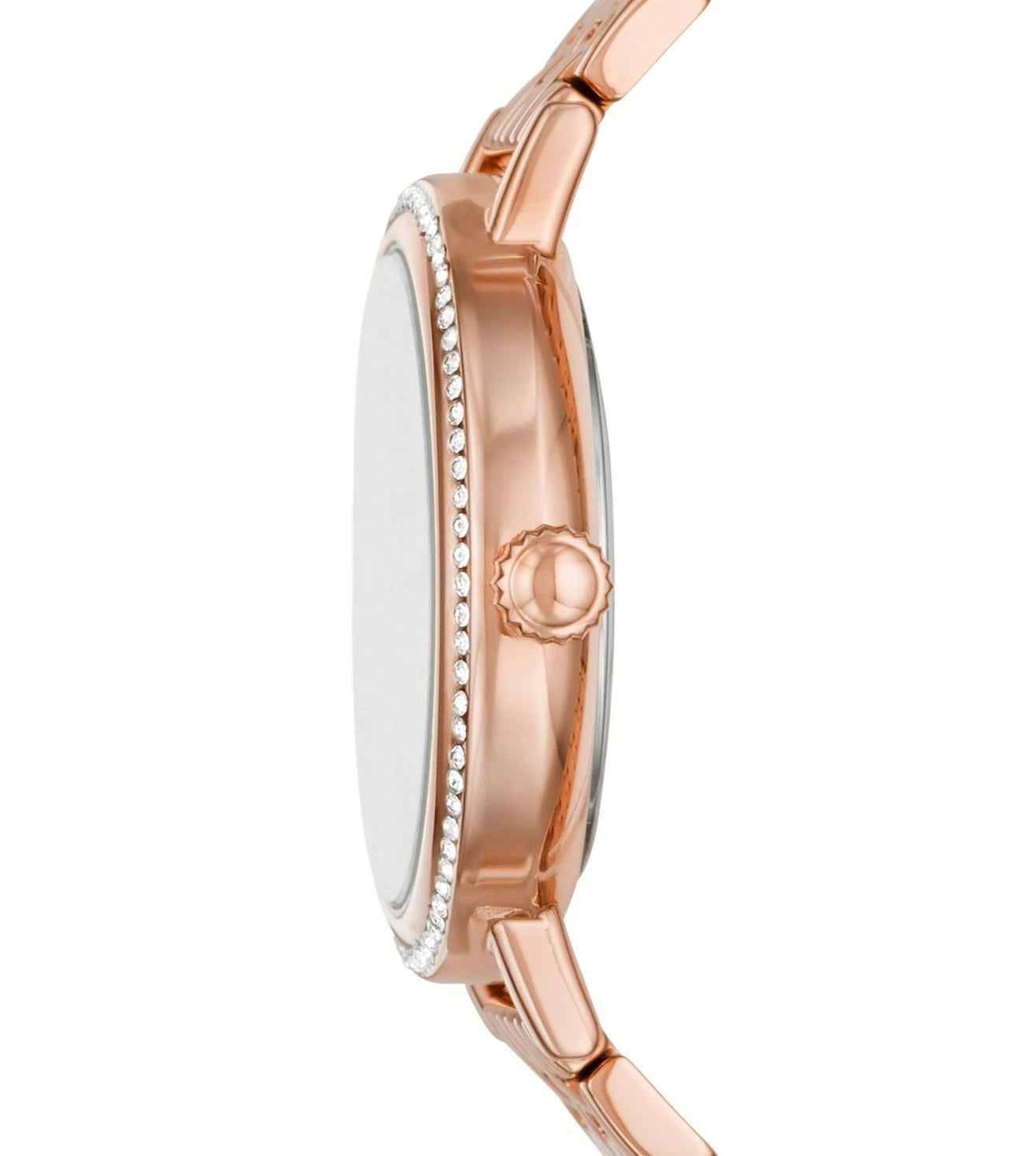 BQ3656 | FOSSIL Reid Analog Watch for Women