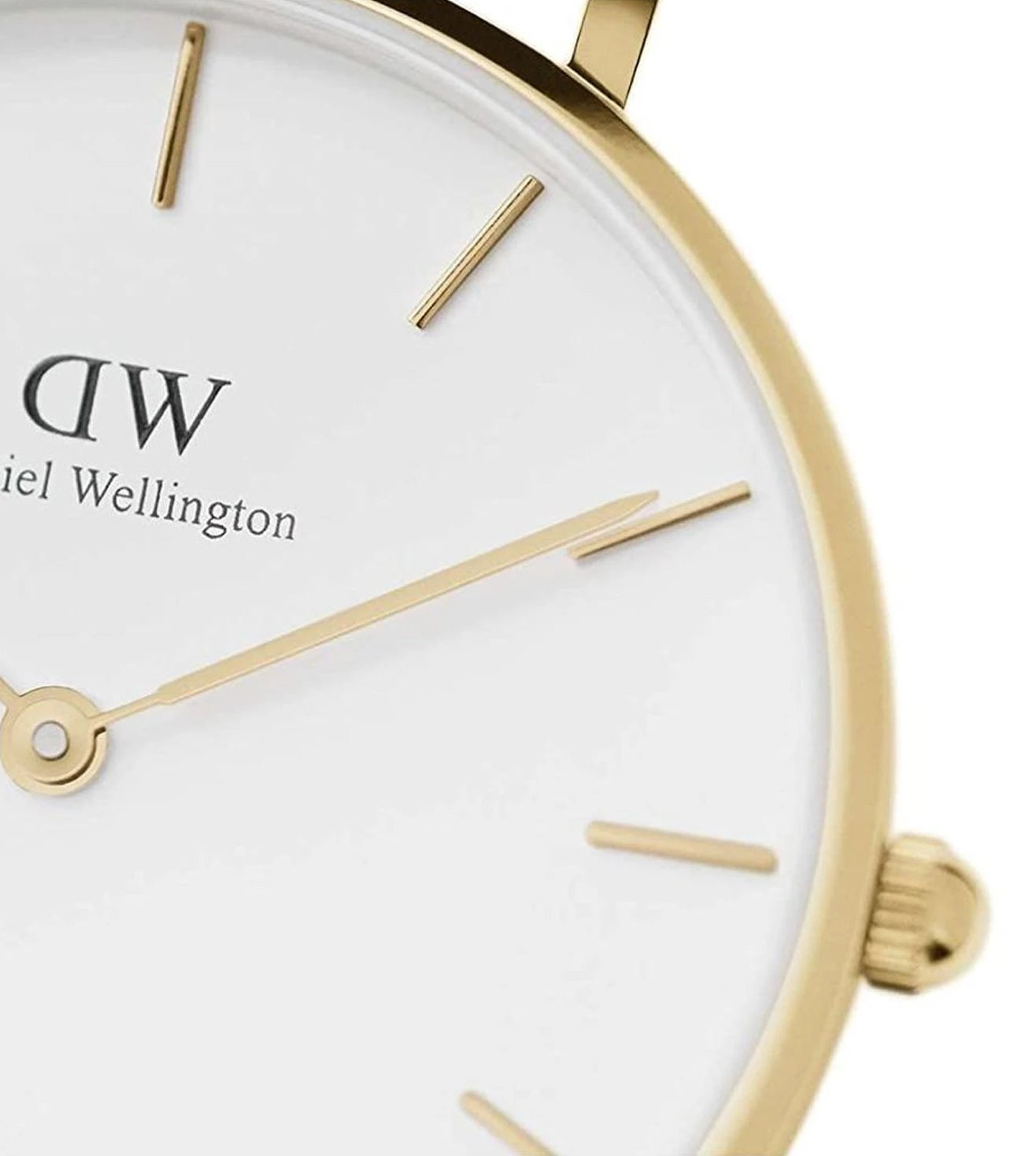 DW00100348 | DANIEL WELLINGTON Petite Evergold Watch for Women