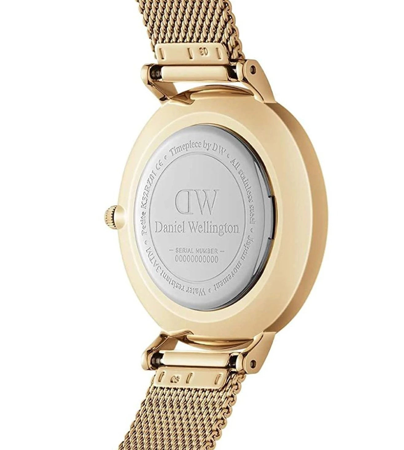 DW00100348 | DANIEL WELLINGTON Petite Evergold Watch for Women