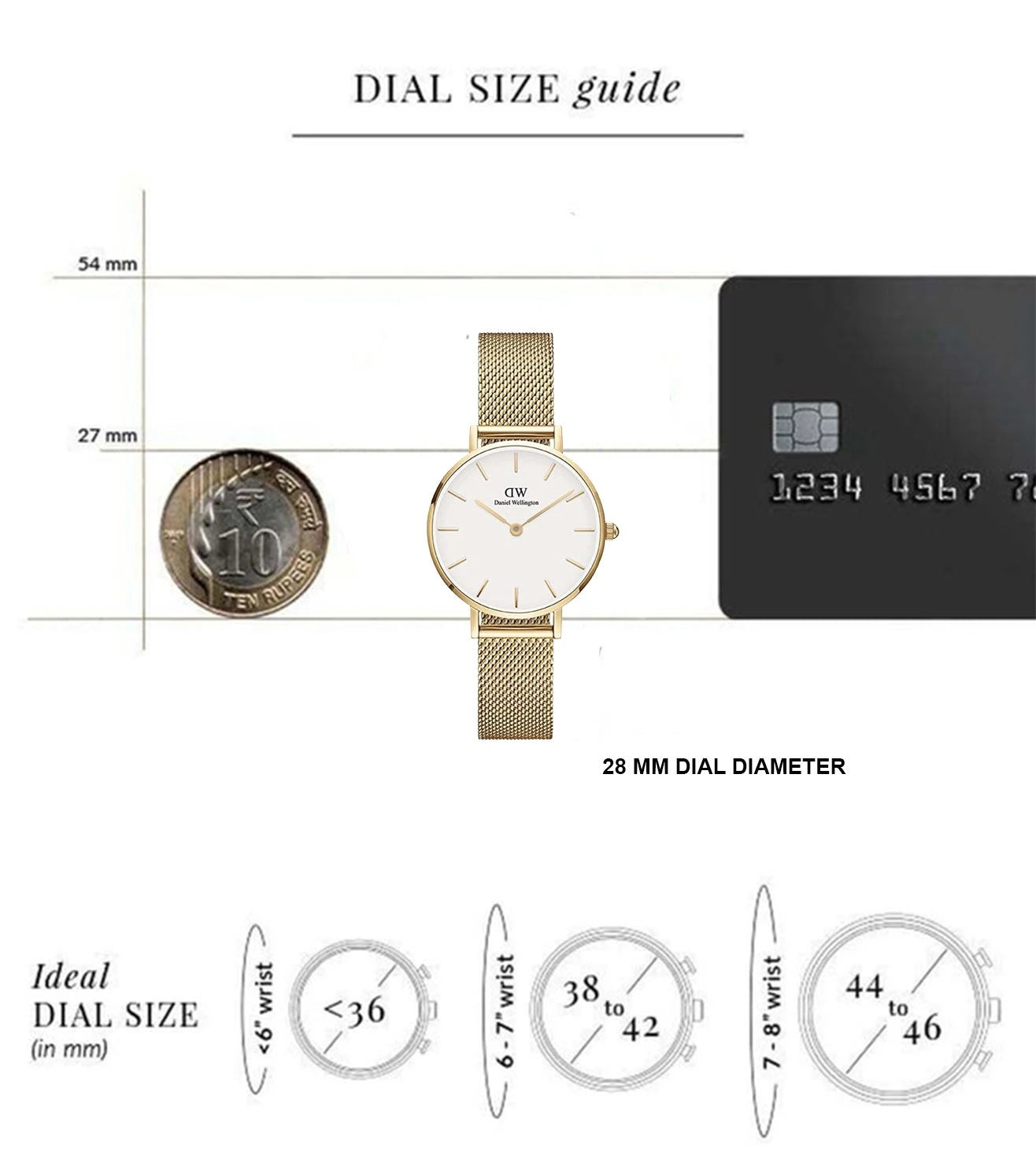 DW00100350 | DANIEL WELLINGTON Petite Evergold Watch for Women