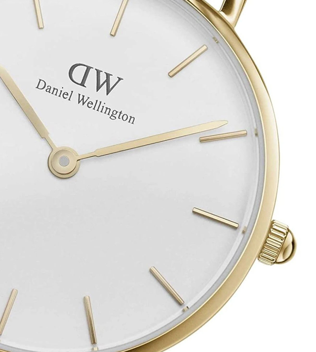 DW00100350 | DANIEL WELLINGTON Petite Evergold Watch for Women