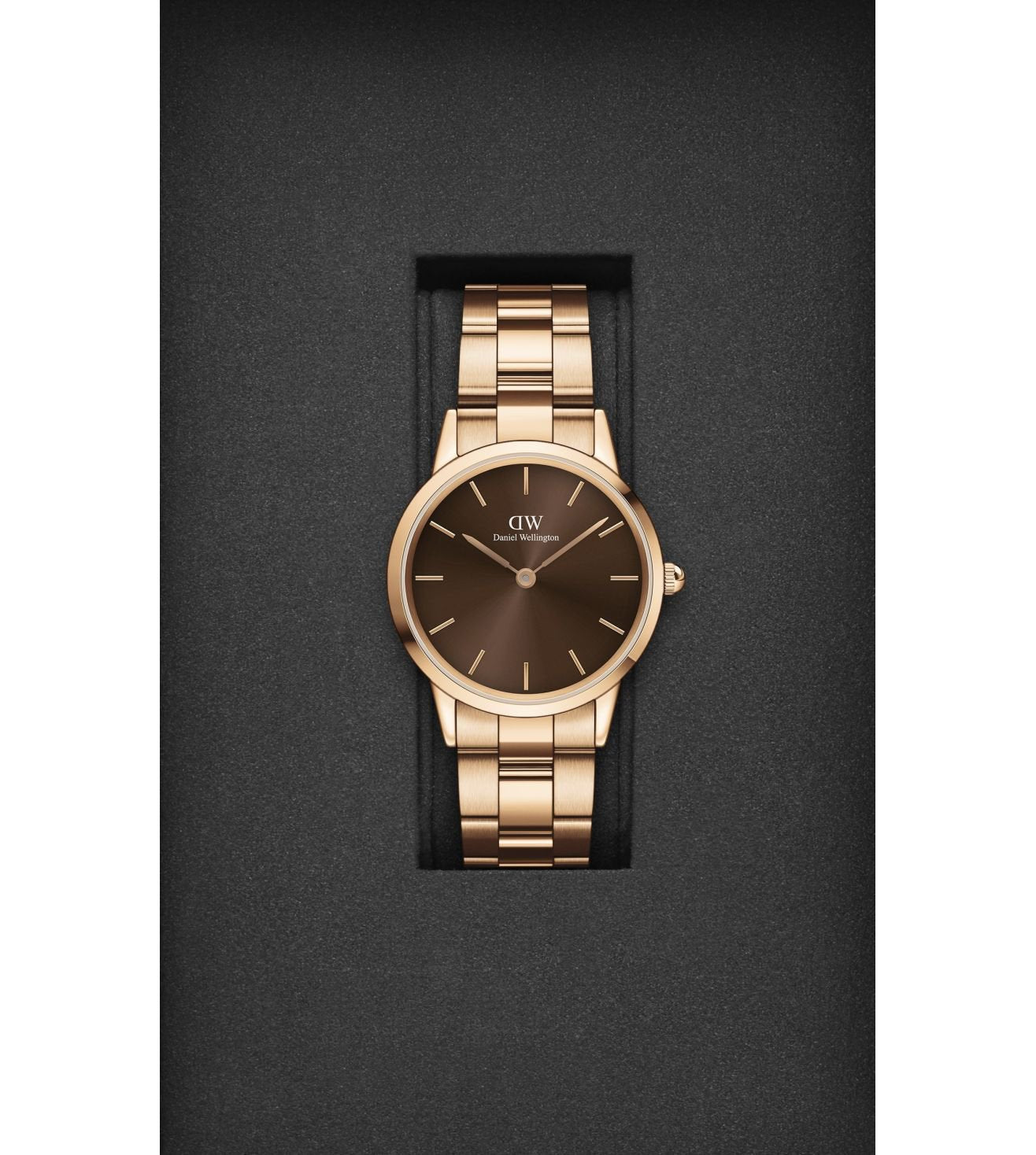 DW00100462 | DANIEL WELLINGTON Iconic Link Amber Watch for Women