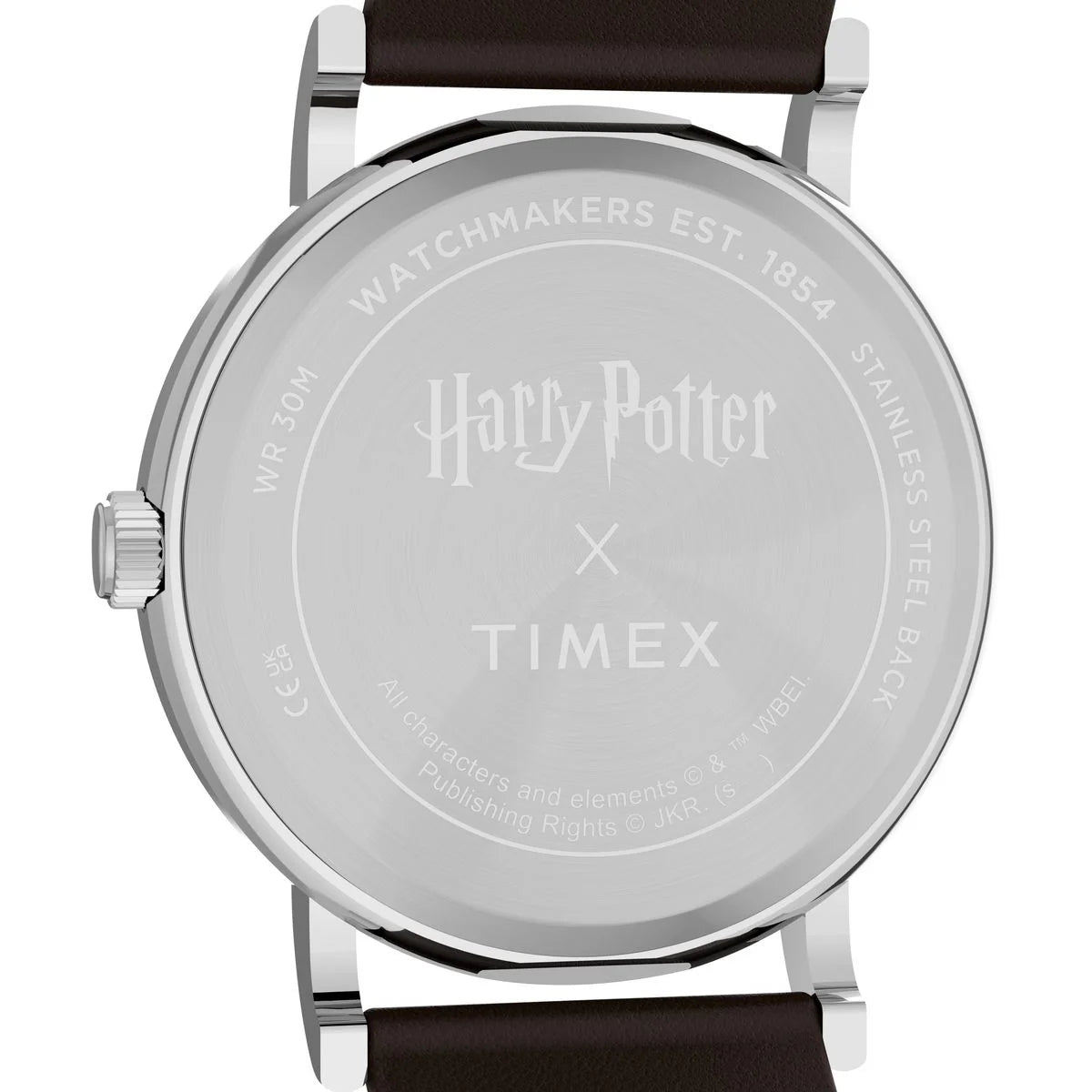 Timex X Harry Potter Weekender Ravenclaw House Men's Watch TW2Y76500X6
