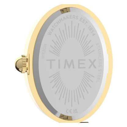 Timex Cavatina Oval Green Dial Analog Women's Watch - TW2Y86100UJ