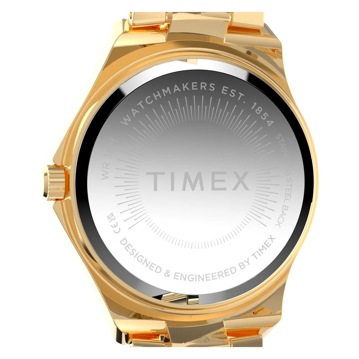 Timex Quartz Gold Round Dial Analog Women's Watch - TW6A04600UJ