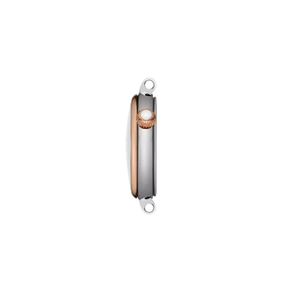 Metallic nail clipper on a white background