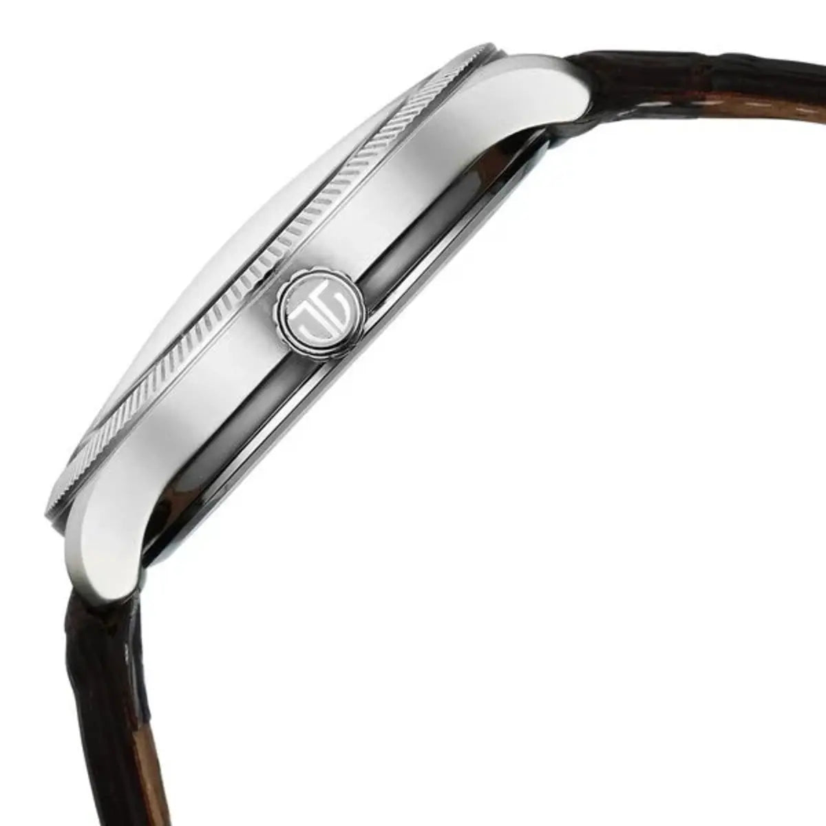 Titan Stellar Analog with Dual Moon Phase and Silver Dial Men Watch 10050SL01
